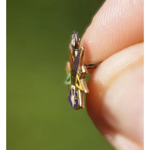 Vintage 10k Solid Gold‎ Past Patron Order of The Eastern Star Diamond Pin Enamel